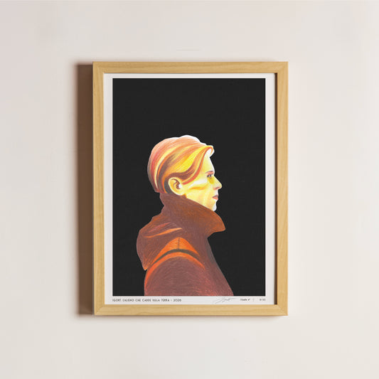 L'alieno che cadde sulla terra